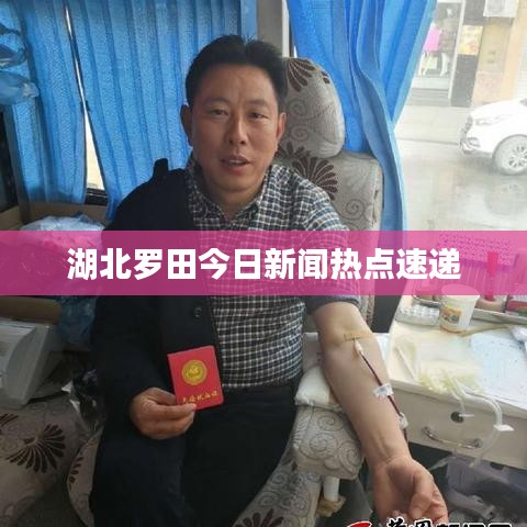 湖北罗田今日新闻热点速递